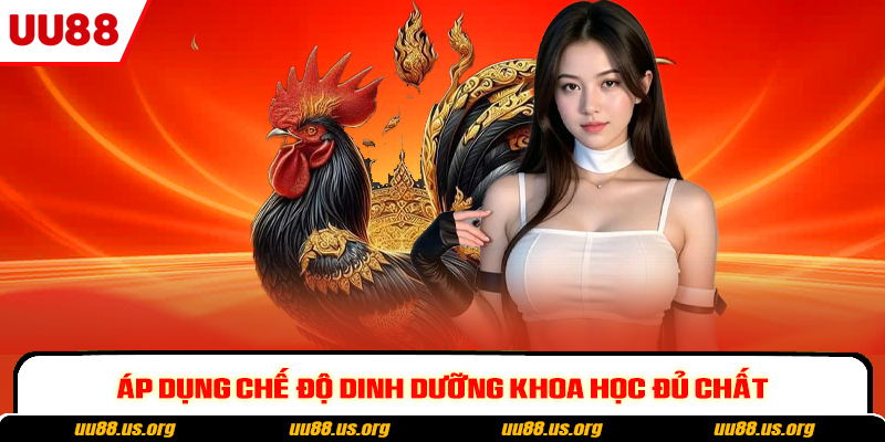 Áp dụng chế độ dinh dưỡng khoa học đủ chất
