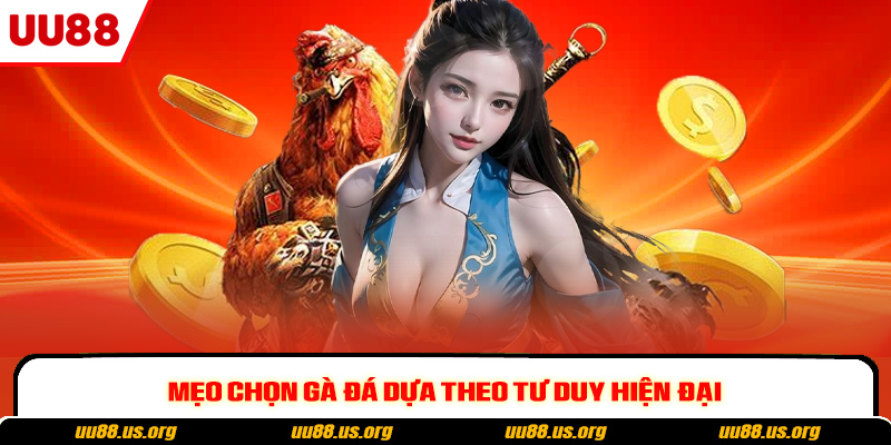 Mẹo chọn gà đá dựa theo tư duy hiện đại