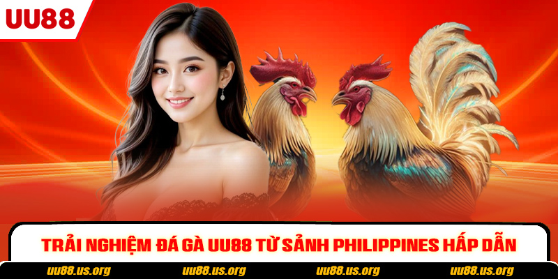 Trải nghiệm đá gà UU88 từ sảnh Philippines hấp dẫn